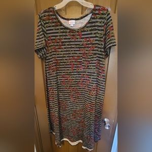 Lularoe Swing dress..super cute foe fall!